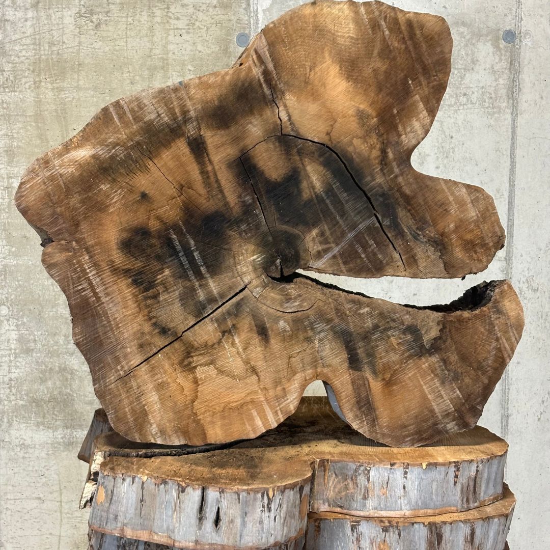 XXLBaumscheibe in Nussbaum(ca. 120 x 110 x 11cm)